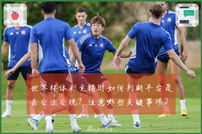 世界杯体彩竞猜时如何判断平台是否合法合规？注意哪些关键事项？