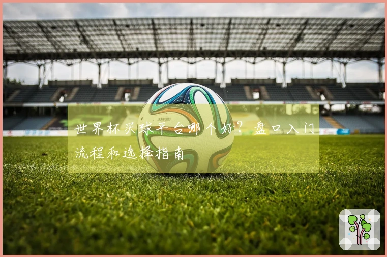 世界杯买球平台哪个好？盘口入门流程和选择指南