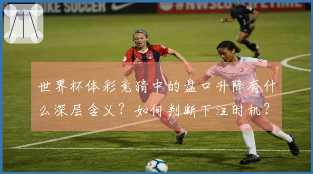 世界杯体彩竞猜中的盘口升降有什么深层含义？如何判断下注时机？