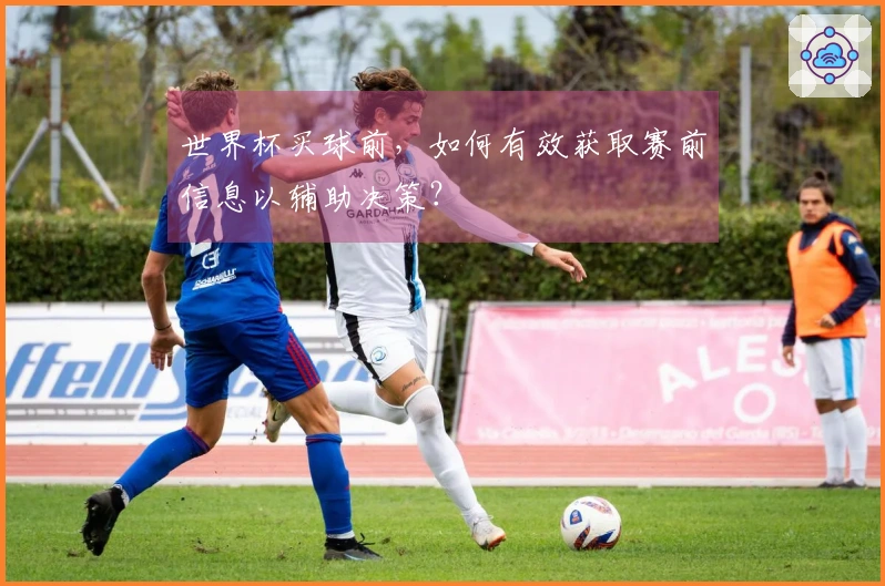 世界杯买球前，如何有效获取赛前信息以辅助决策？