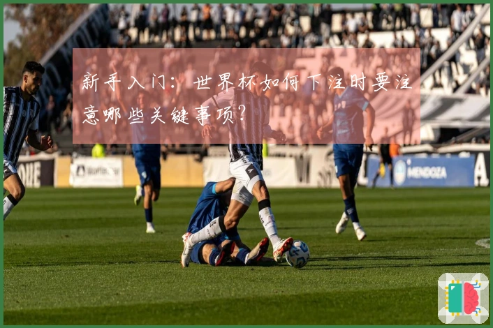新手入门：世界杯如何下注时要注意哪些关键事项？