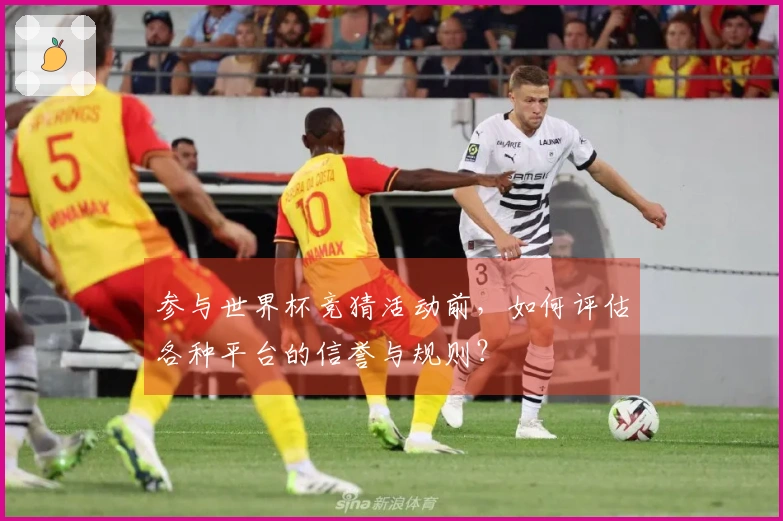 参与世界杯竞猜活动前，如何评估各种平台的信誉与规则？