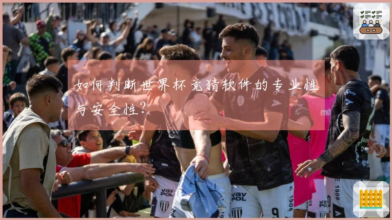 如何判断世界杯竞猜软件的专业性与安全性？