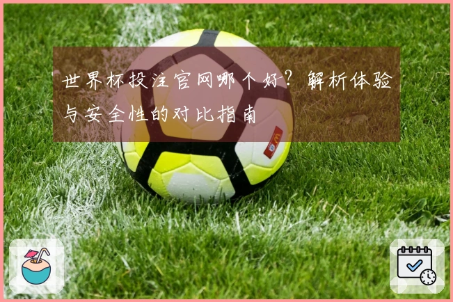 世界杯投注官网哪个好？解析体验与安全性的对比指南