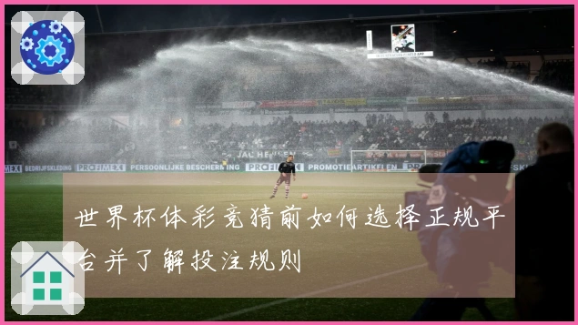 世界杯体彩竞猜前如何选择正规平台并了解投注规则