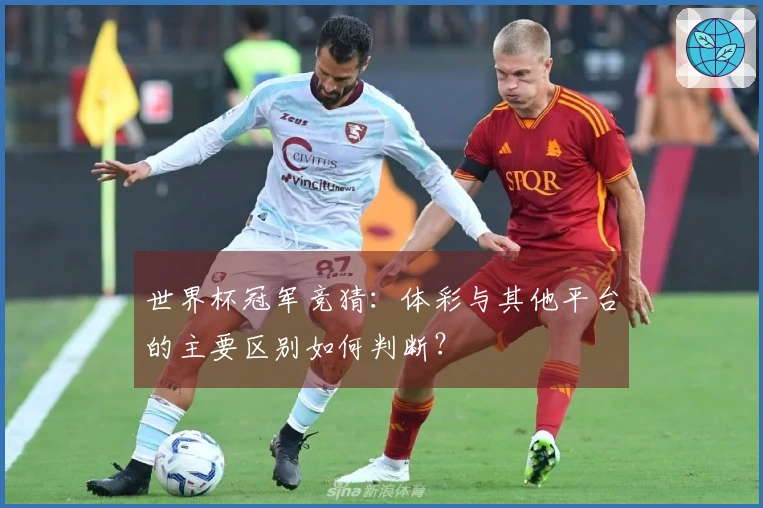世界杯冠军竞猜：体彩与其他平台的主要区别如何判断？