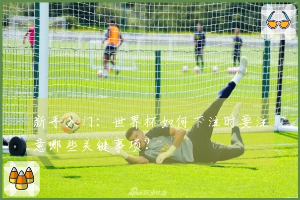 新手入门：世界杯如何下注时要注意哪些关键事项？