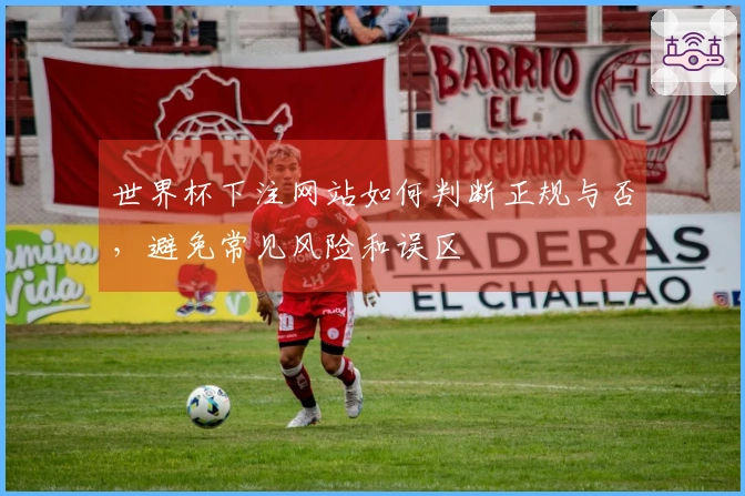 世界杯下注网站如何判断正规与否，避免常见风险和误区