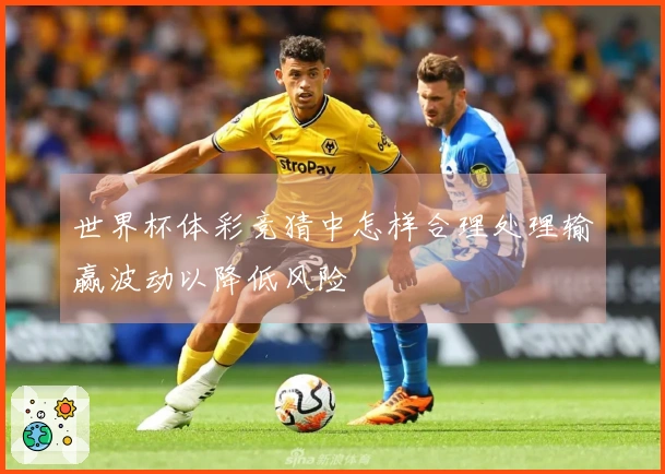 世界杯体彩竞猜中怎样合理处理输赢波动以降低风险