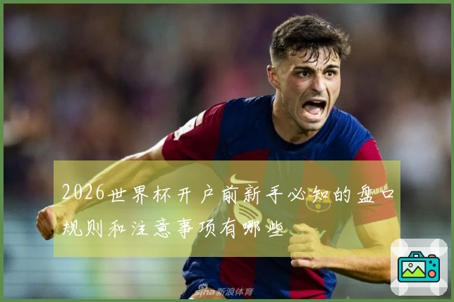 2026世界杯开户前新手必知的盘口规则和注意事项有哪些