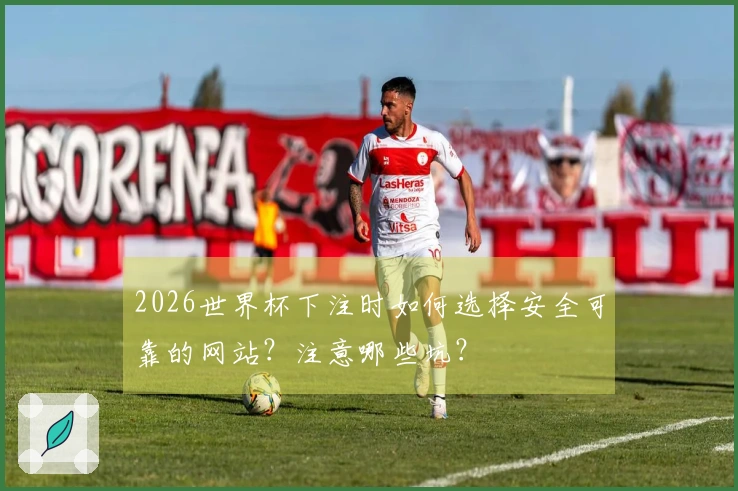 2026世界杯下注时如何选择安全可靠的网站？注意哪些坑？