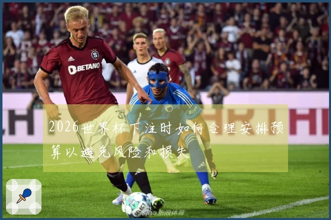 2026世界杯下注时如何合理安排预算以避免风险和损失