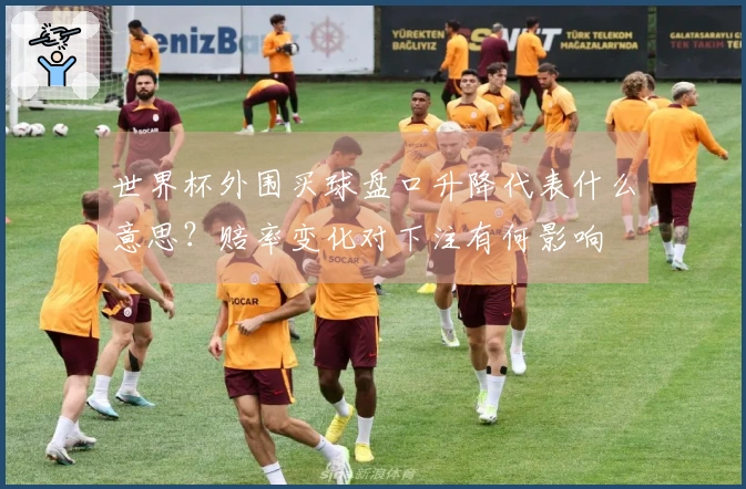 世界杯外围买球盘口升降代表什么意思？赔率变化对下注有何影响