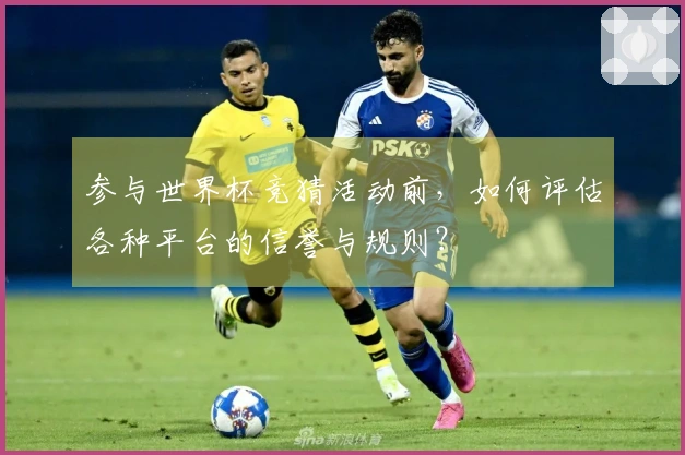 参与世界杯竞猜活动前，如何评估各种平台的信誉与规则？