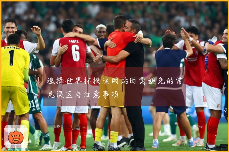 选择世界杯投注网站时需避免的常见误区与注意事项
