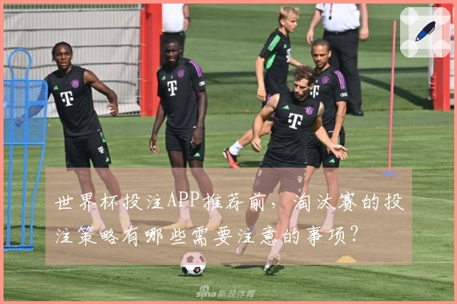 世界杯投注APP推荐前,淘汰赛的投注策略有哪些需要注意的事项?