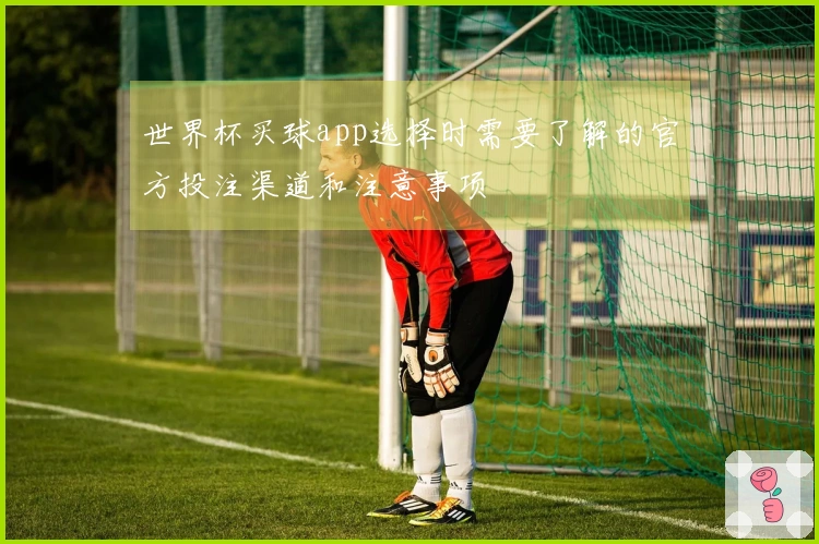世界杯买球app选择时需要了解的官方投注渠道和注意事项