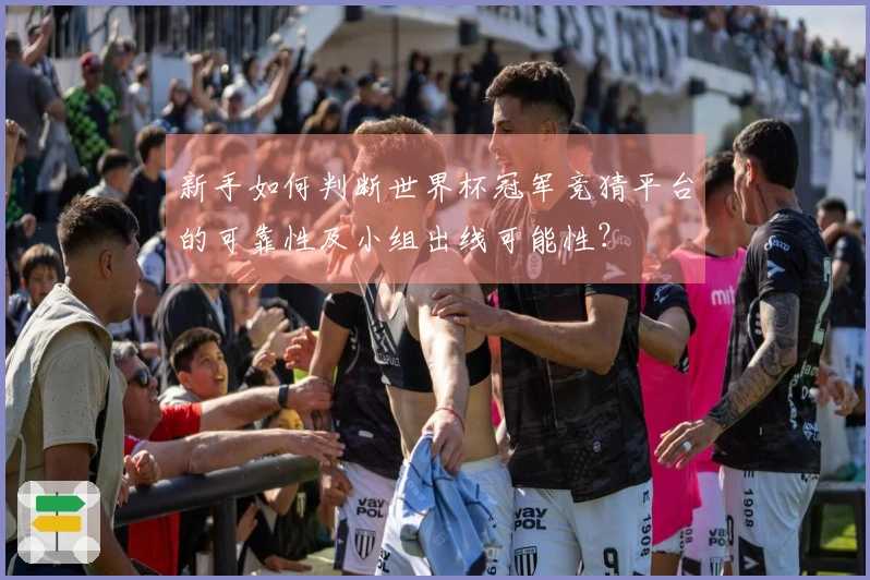 新手如何判断世界杯冠军竞猜平台的可靠性及小组出线可能性？