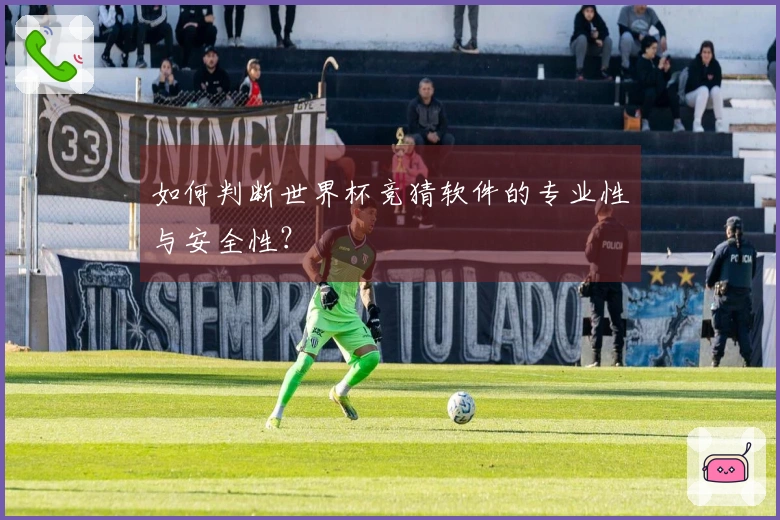 如何判断世界杯竞猜软件的专业性与安全性？