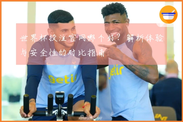 世界杯投注官网哪个好?解析体验与安全性的对比指南