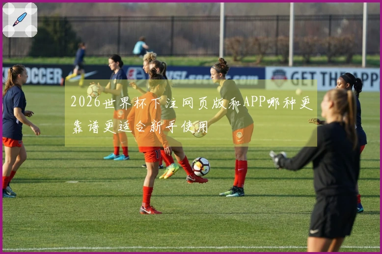 2026世界杯下注网页版和APP哪种更靠谱更适合新手使用
