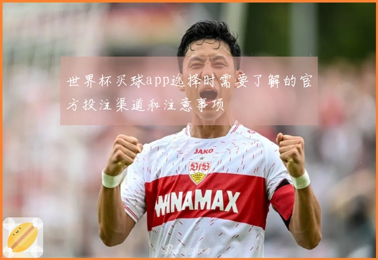 世界杯买球app选择时需要了解的官方投注渠道和注意事项