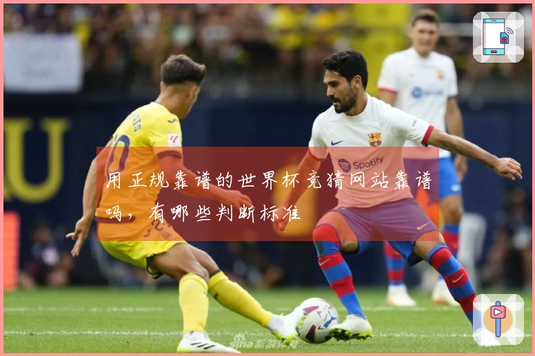 用正规靠谱的世界杯竞猜网站靠谱吗，有哪些判断标准